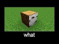 Minecraft wait what meme part 46 (More Wood)