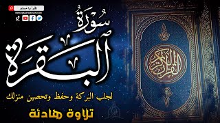 سورة البقرة: الرقية الشرعية الأقوى لتحصين النفس والمنزل وجلب البركة - surah al baqarah