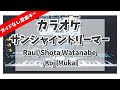 カラオケ『 サンシャインドリーマー / Raul / Shota Watanabe / Koji Mukai (Snow man)  』ガイドなし原曲キー