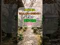 🌸70代、実はほとんどの人が知らない「老後の本当の自由」TOP3 🕊️