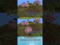 【マイクラ】全部見つけたら天才!LV5まちがい探し #間違い探し #マイクラ #マインクラフト #shorts