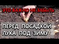 Посадка лука под зиму! Что нужно обязательно сделать перед посадкой?!