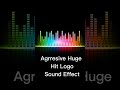 Aggresive Huge Hit Logo Sound Effect