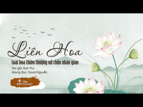 Liên hoa: Vì sao loài hoa nơi thiên thượng khai nở chốn nhân gian? | ETV Podcast