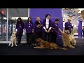 Pet Therapy Program at Children's Hospital of Pittsburgh Pet Therapy Program at Children's Hospital of Pittsburgh
