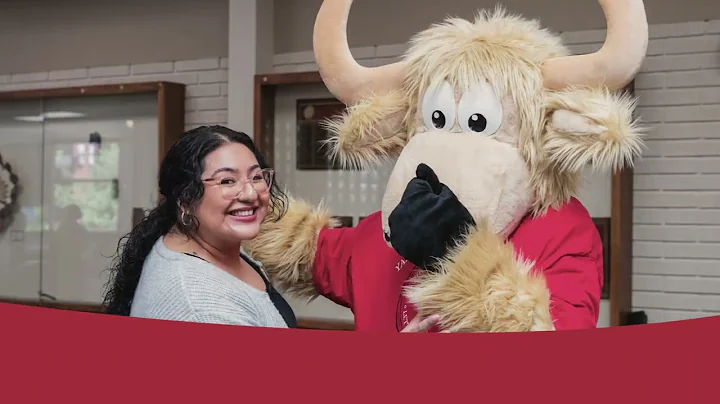 YVC an Affordable Pathway 2025