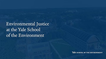 YSE Awards First Endowed Chairs for Professors of Environmental Justice