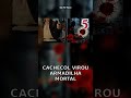 Cachecol fatal e ferrão no coração: mortes bizarras de famosos #Shorts