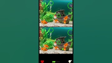 Find the Difference - Level 18