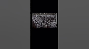 الشيخ محمد اللحيدان سورة الرحمن ❤️