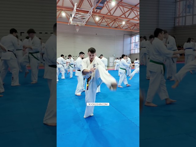 Cristian Boldut Fight Camp 2026 #kyokushin #shinkyokushin #karate #1kyokushin #一極真 #極真会館