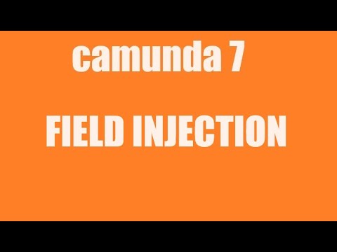 Camunda 7 Field