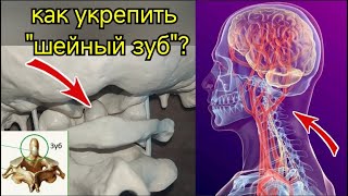 Связь атланта и зуба второго шейного позвонка - основа жизни мозга. Упражнения