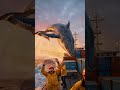 Whale Jumps ON a Ship! Unreal Ocean Moment! #whale #dolphin #ship #ocean #viralvideo #aivideo #cinem