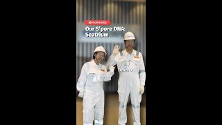 Making waves with New Energy Engineering Solutions