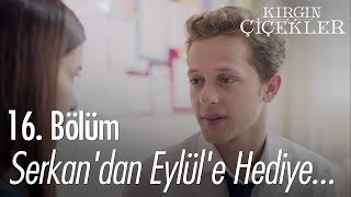 Serkan'dan Eylül'e hediye... - Kırgın Çiçekler 16. Bölüm