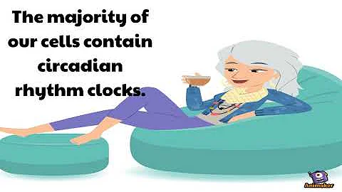 Excerpts from Circadian Rhythm