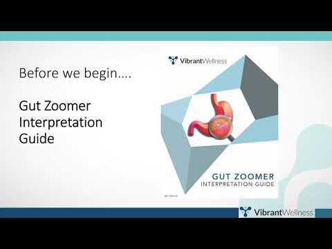 Vibrant Gut Zoomer 3.0 Walk Through