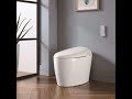 OVE STAN/TUVA Smart Toilet Installation