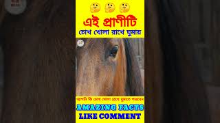 চোখ খোলা রেখে ঘুমোতে পারে ? || #facts #ytshorts #shorts