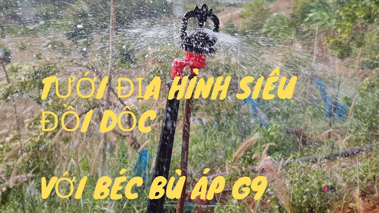 Tưới địa hình siêu đồi dốc với béc bù áp G9 90l/h