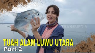 TUAH ALAM LUWU UTARA | JEJAK PETUALANG (18/05/24) Part 2