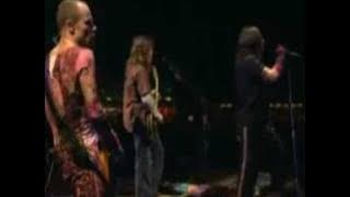Red Hot Chili Peppers live - Custard Pie riff   Fortune Faded (Part 5/16)