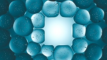 “This Cloth Trick Makes Blender Look Like Houdini 🤯”