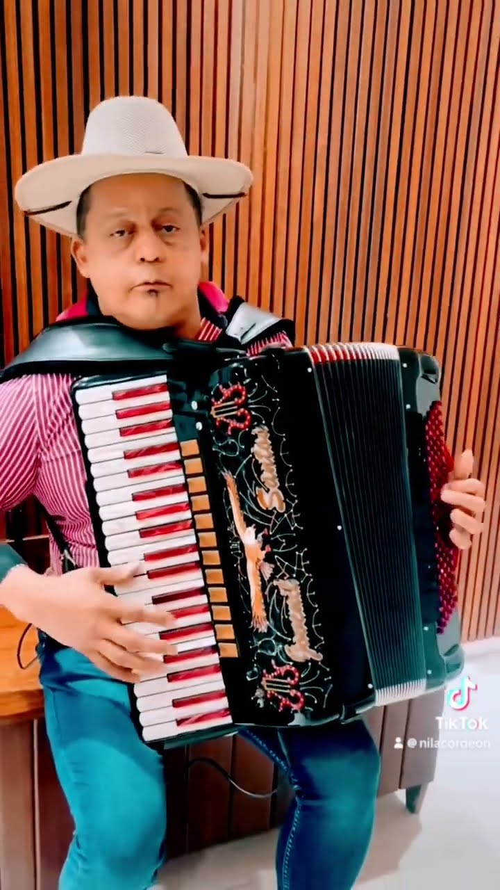 https://rifei.com.br/acordeon-melody-president