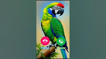 Ringtone Smartphone Music Ringtones 