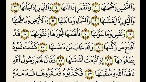 سورة الشمس للشيخ محمد أيوب رحمه الله