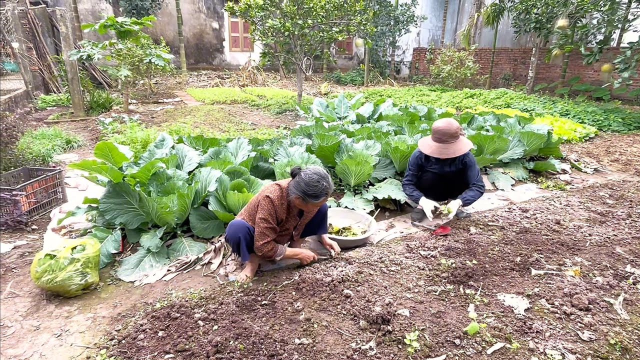 Семья в маленьком саду на выходных | Спокойная загородная атмосфера 🌿