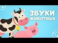 Звуки животных Корова Лошадь Курица Домашние животные Как говорят животные