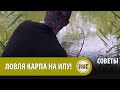 Ловим КАРПА летом на ИЛУ! СЕКРЕТЫ карпфишинга с Марком Питчерсом СОВЕТЫ