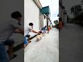 Thanh niên yêu một lúc 3 em bị thú cưng đuổi chayh mất dép #videoshort