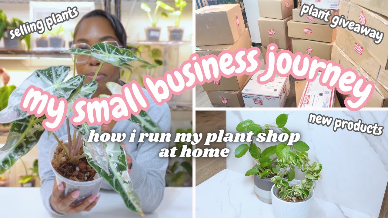 Small Business Journey: New Product Launch, Rare Houseplant Restock, Selling & Shipping Houseplants