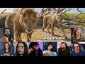 TOP ”Eshe and Mufasa fighting White Lions” Reactions! Mufasa: The Lion King (2024)