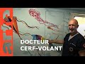 Argentine : le Docteur Cerf-Volant | ARTE Reportage