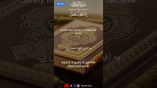 Surah At Tariq Mishary Rashid alafasy #islamicshorts #freequraneducation #quran #surahtariq #mishary