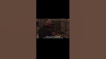 صلو على نبي❤️#اكسبلور_فولو#إسلام_صبحي #quran #تلاوة_هادئة #shortvideo