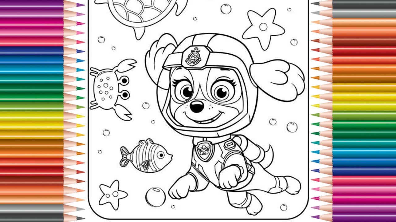 Desenhos da Patrulha Canina para colorir, pintar e imprimir  Patrulha  canina para colorir, Patrulha canina desenho, Aniversário paw patrol