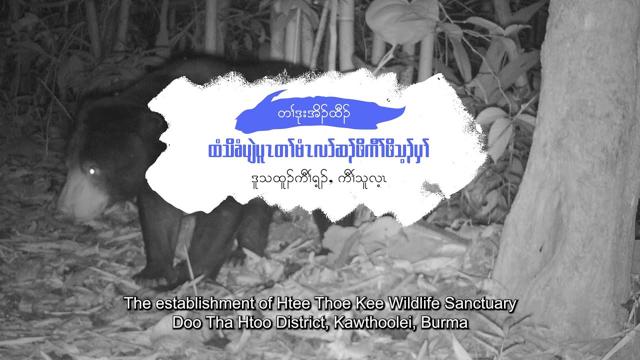 The Establishment of Htee Thoe Kee Wildlife Sanctuary in Doo Tha Htoo District
