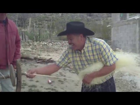 ASI SE HACEN LOS LAZOS DE IXTLE,,O SOGAS,,EN AMARO DR, ARROYO N.L.