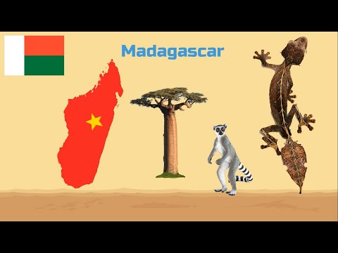 Video: Điều tốt nhất để làm ở Antananarivo, Madagascar