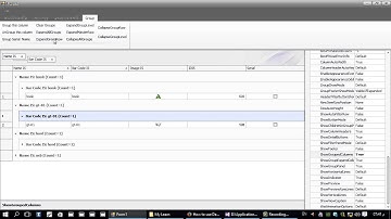 049 012 DataGrid - (Grouping) - Functions - CollapseGroupLevel