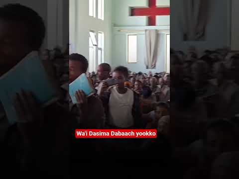 Wa I Dasimma Dabaachi Yokko Yosef Samuel ሀዲይሳ መዝሙር