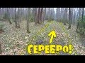 СЕРЕБРО ЛЕСНЫХ ДОРОГ! РЕАЛЬНЫЕ НАХОДКИ!  Кладоискатель Белый Копатель!