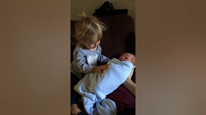 Tink meeting Bear for the first time