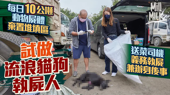 #MM｜香港每日有10公吨动物尸体弃置堆填区 实试做流浪猫狗执尸人 41岁送菜司机月花过万元油费隧道费义务执尸 24小时随时出动 独力由公路执遗体再以佛教仪式为浪浪善终兼火化及撒灰｜#试一次 #4K - 天天要闻