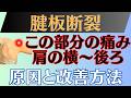 【長引く症状】腱板断裂 肩の横〜後ろの痛みの原因と改善方法